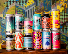 Load image into Gallery viewer, Pale and Interesting Craft Beer Case.